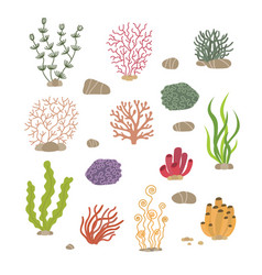 How To Draw Seaweed And Coral Step By Step - Serunen