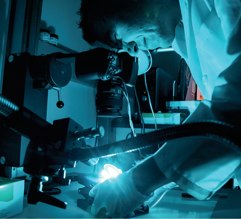 pix Image Forensic Expert forensic science expert witnesses forensisgroup consulting