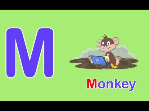 photo Images Starting With Letter M pinterest
