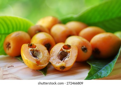 wallpapers Nesperas Fruta loquat wikipedia